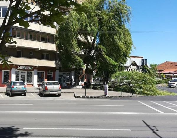 BRAŞOV. Codul Galben de VÂNT a fost prelungit 1 copaconix.jpg