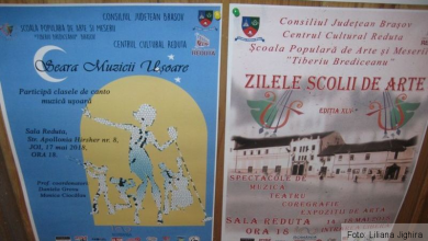 img-8564.jpg