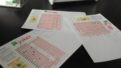 loto_167.jpg
