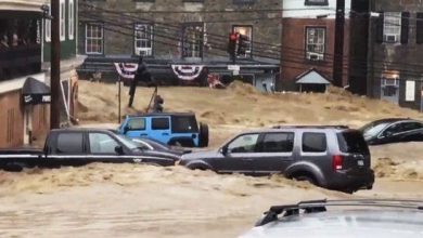 maryland_3.jpg