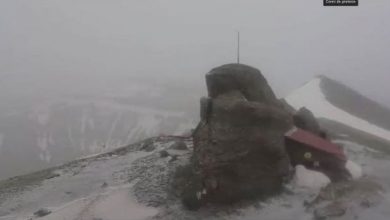 ninsoarebucegi.jpg