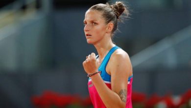 pliskova_14.jpg