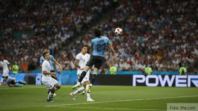 cavani_6.jpg