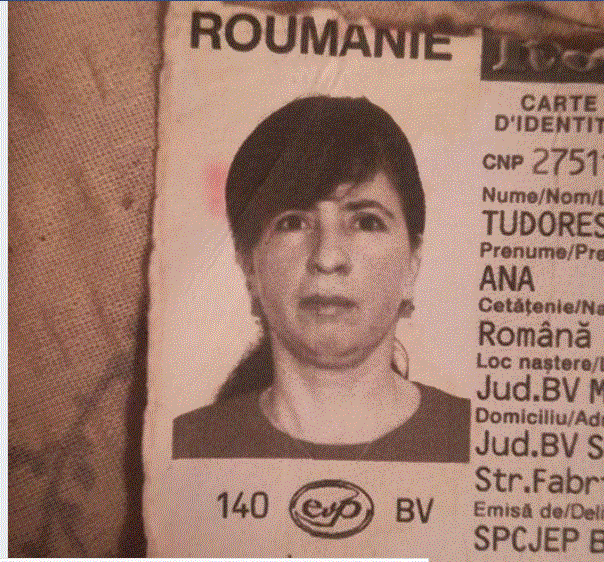 disparuta.gif