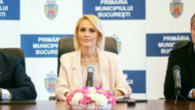 fagadau-firea-scripcaru_252585.jpg