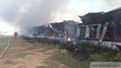 incendiu hala 3_253067.jpeg