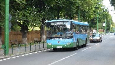 linia-20.jpg