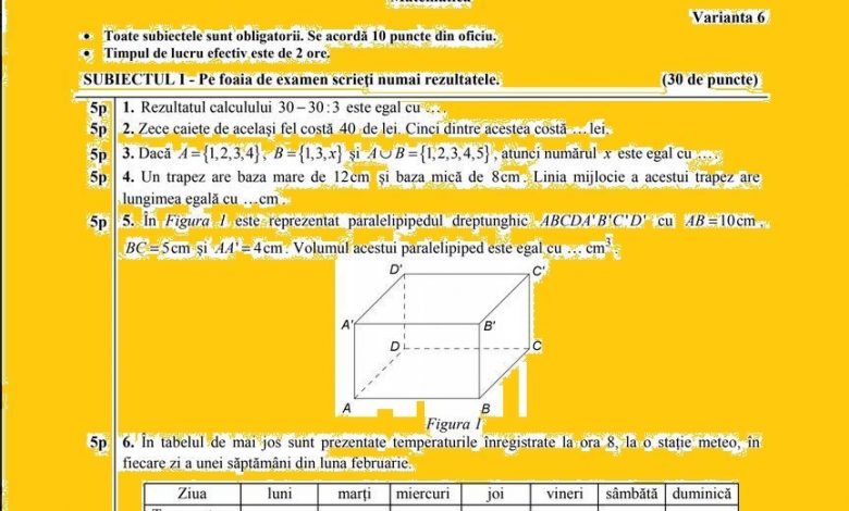 Evaluarea Națională 2018. AICI, subiectele și baremul la matematică! 1 matemsub.jpg
