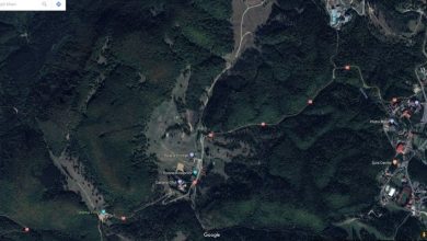 poiana-aviatorilor1.jpg