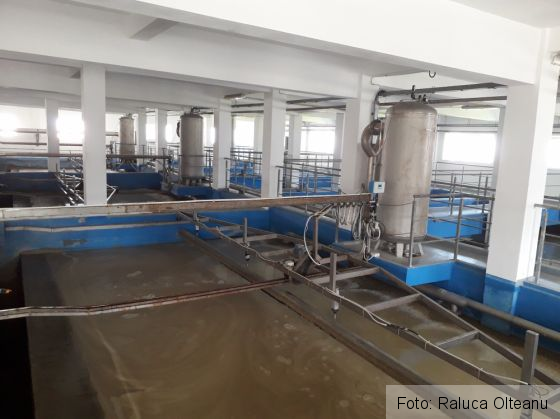 CORONAVIRUS. BRAŞOV. Angajaţii de la Uzina de apă vor locui la serviciu, în ture de câte două săptămâni 1 20180703_110818_253670.jpg