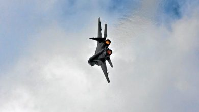 aviondevanatoare_2.jpg