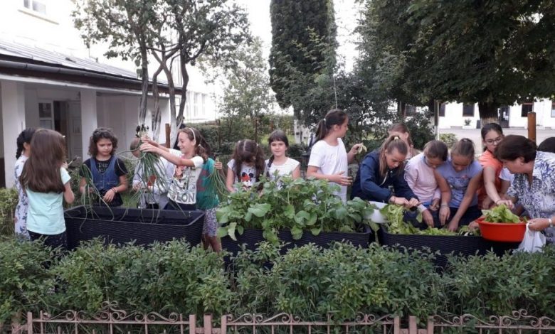 BRAŞOV. Şi ideile pot fi plantate, pentru o viaţă sănătoasă! 1 elevi_11.jpg