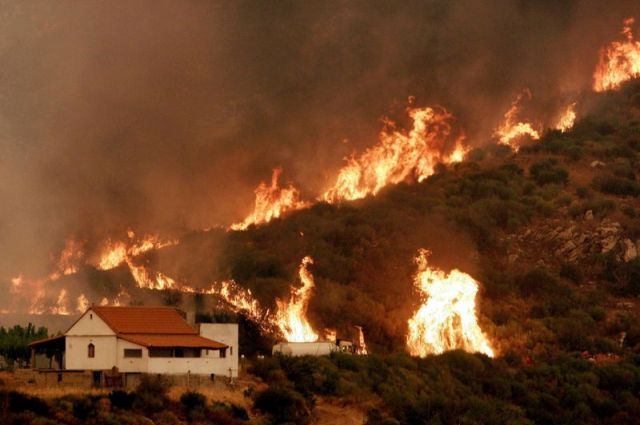 Bilanțul morților în incendiile din Grecia a ajuns la 91 1 grecia_16.jpg