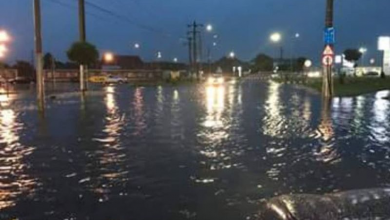inundatiicodlea.jpg