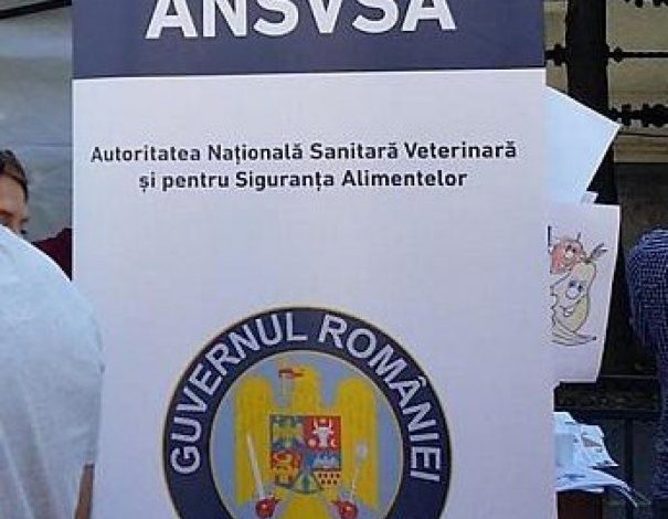 ANSVSA. Pesta porcină africană a fost confirmată în două gospodării din județul Călărași 1 ansvsa.jpg