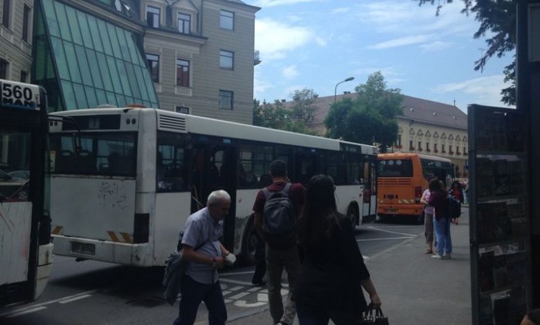 BRAȘOV. Bilete gratuite la Zoo de la RATBV 1 autobuze-rat-vara17.jpg