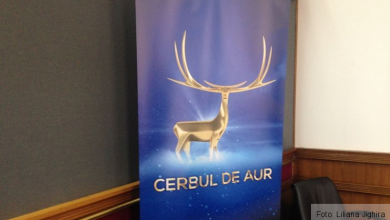 cerbul-de-aur3.jpg