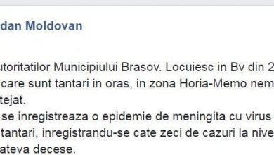 dr-moldovan_2.jpg