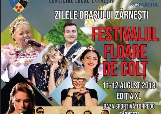 BRAȘOV. Sava Negrean Brudaşcu şi Lidia Buble, la „Floare de Colţ” 1 festival-zarnesti.jpg