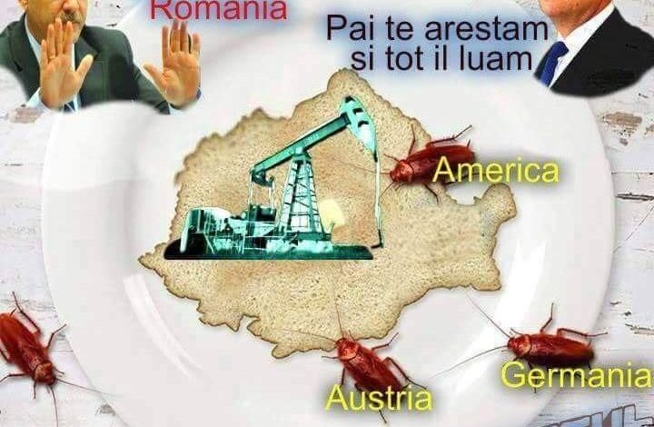 ÎNCĂ O GAFĂ MARCA PSD. Liviu Pop şi... gândacii!!! 1 gaze_2.jpg