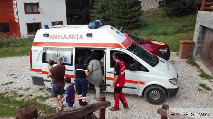 BRAŞOV. Un copil a ajuns la spital, după ce a fost înţepat de o albină 1 intepat albina_256127.jpg