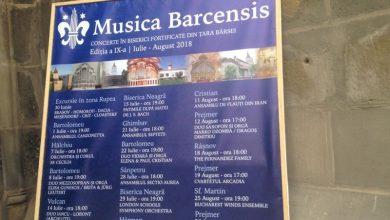 musica-barcensis_2.jpg