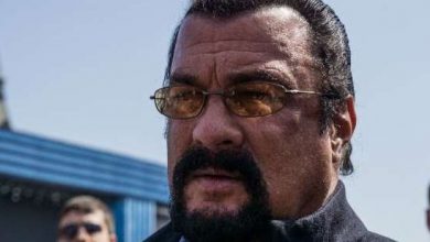 seagal_3.jpg