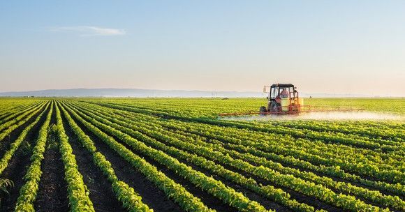 Oficial european: „Plăţile directe pentru fermierii români vor creşte după 2020” 1 agricultura3.jpg