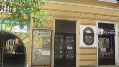 arlechino_78.jpg
