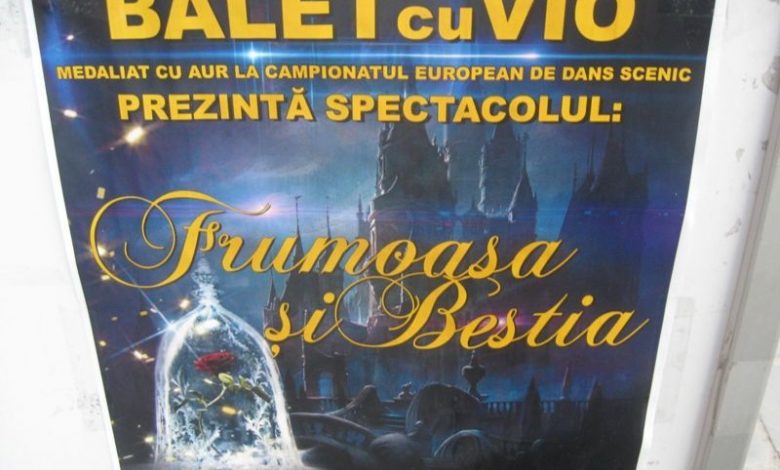 BRAȘOV. Basm spus în pași de dans 1 balet_3.jpg