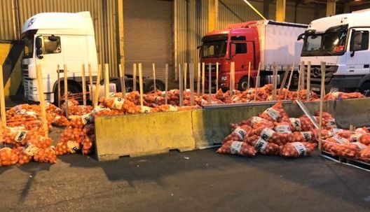 Captură importantă de droguri ascunse într-un container 1 cocaina_7.jpg