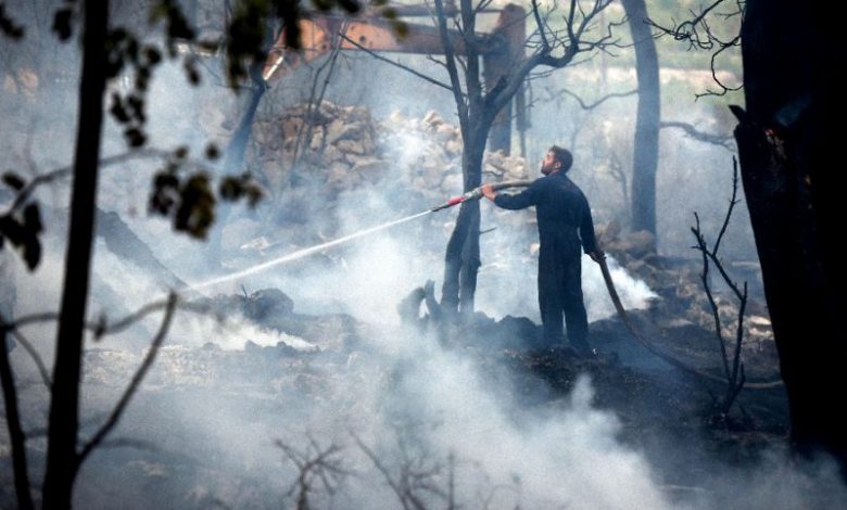 Incendii de pădure în Croația 1 croatia_9.jpg