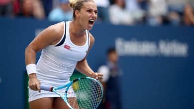 dominikacibulkova_4.jpg