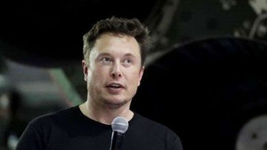elon_3.jpg