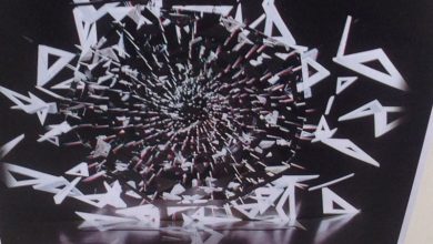 expo-3d1.jpg