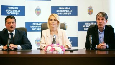 firea-scripcaru-fagadau.jpg