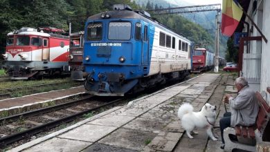 img-20180911-wa0002.jpg