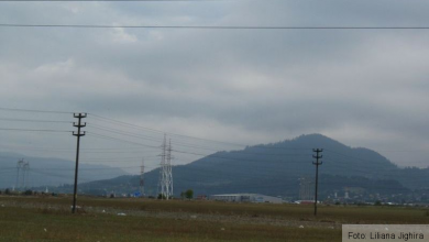 img-5146_3.jpg