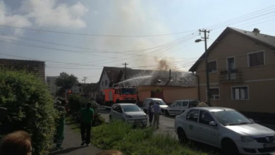 incendiu bartolomeu_256556.jpg