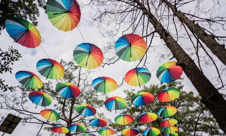 Start înscrieri ateliere LollyBoom 2018 - ediția Brașov! 1 lolly_2.jpg