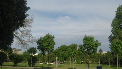 parcul-tractorul.jpg
