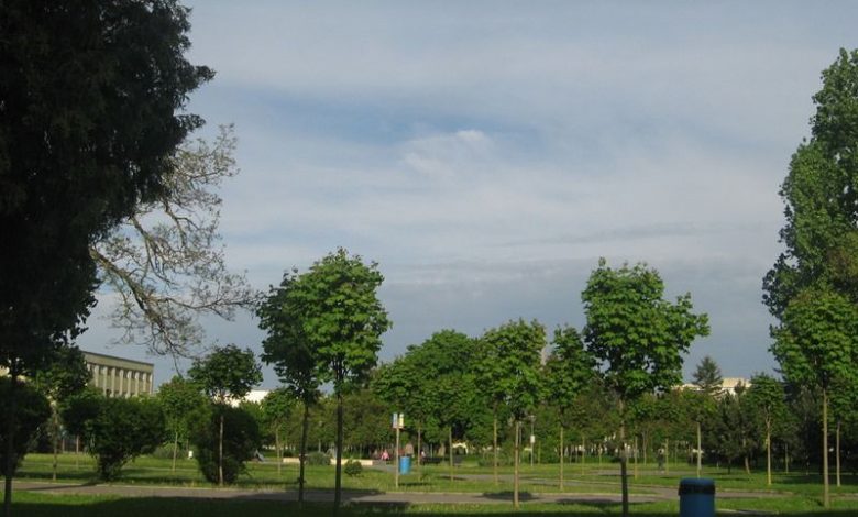 BRAȘOV. Sunteți invitați în Parcul Tractorul să dăruiți 1 parcul-tractorul.jpg