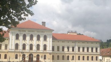 saguna0.jpg