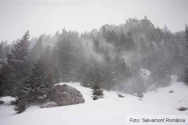 Alertă la Salvamont. Cinci persoane au fost surprinse de viscol în Masivul Bucegi 1 FB_IMG_1540390832410_258701.jpg