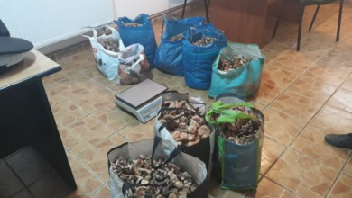 IMG-20181022-WA0004_258596.jpg