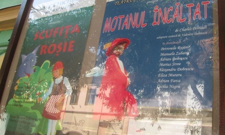 BRAȘOV. Despre pisici și motani 1 arlechino1_4.jpg