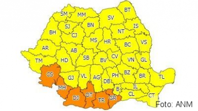 codanm.jpg