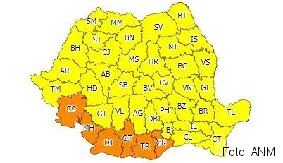codanm.jpg