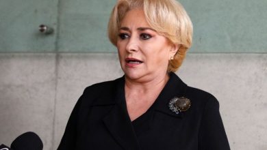 dancila_8.jpg