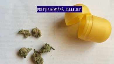 droguri.jpeg